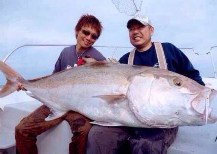 夢見釣到很多魚|周公解夢